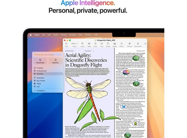 MacBook Air 13" (2025) 512GB Sort Apple 10-core M4 CPU, 24GB 