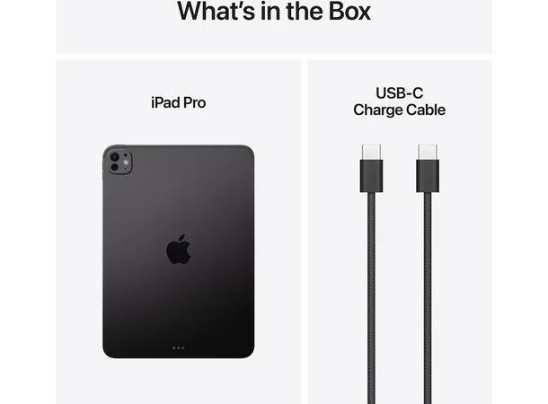 iPad Pro 11" (2025) 256GB WiFi Sort WiFi 