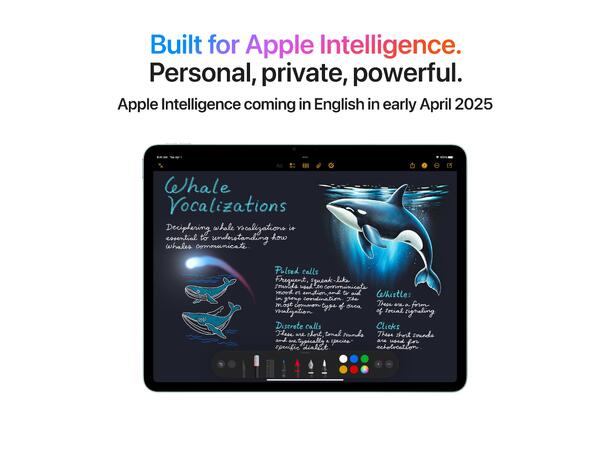 iPad Air 13" (2025) 128GB 5G Blå 5G 
