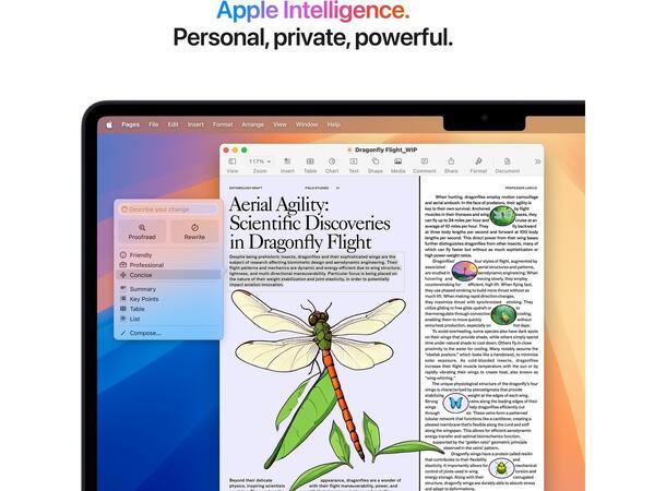 MacBook Air 15" (2025) 512GB Sort Apple 10-core M4 CPU, 24GB, 512GB 