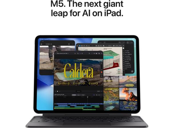 iPad Pro 11" (2025) 256GB 5G Sort 5G 