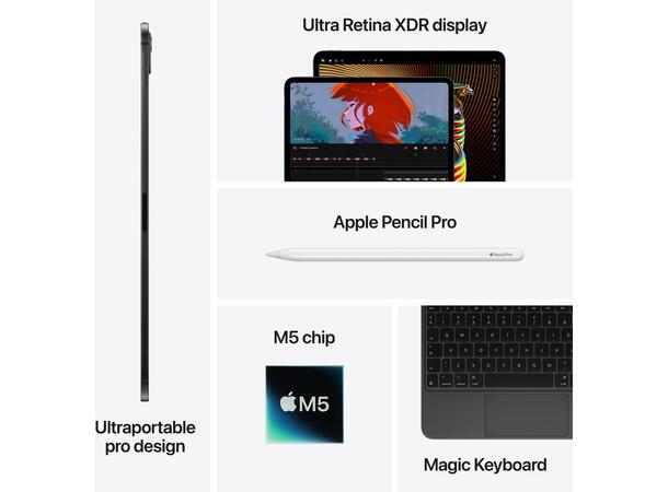 iPad Pro 11" (2025) 2TB Sort 5G 