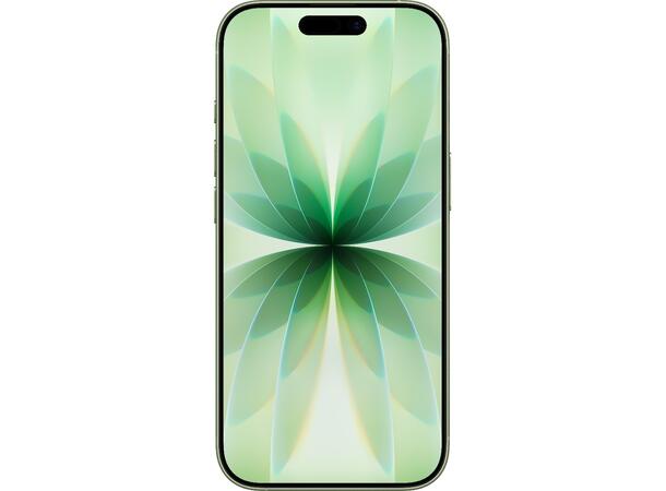iPhone 17 256GB Grønn OBS! Leveres uten vegglader 